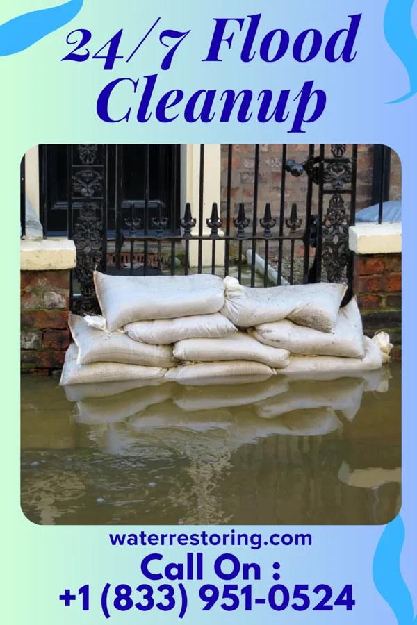 24/7 Flood Cleanup in Stronach, MI
