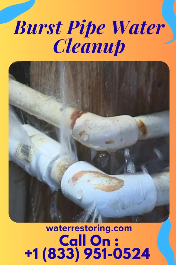 Burst Pipe Water Cleanup in Stronach, MI