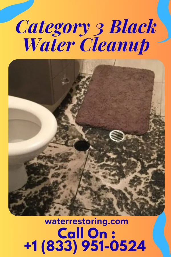 Category 3 Black Water Cleanup in Stronach, MI