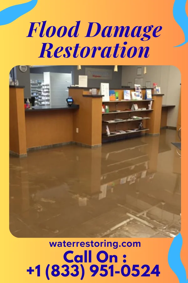 Flood Damage Restoration in Stronach, MI