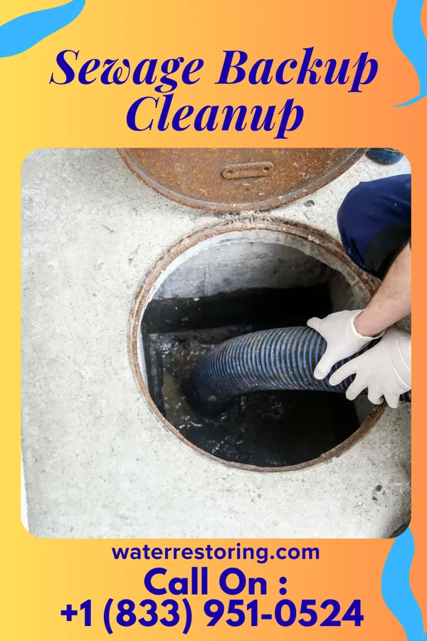 Sewage Backup Cleanup in Stronach, MI
