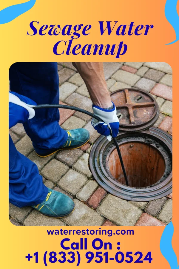 Sewage Water Cleanup in Stronach, MI
