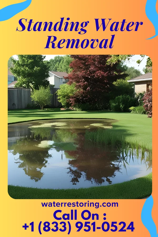Standing Water Removal in Stronach, MI